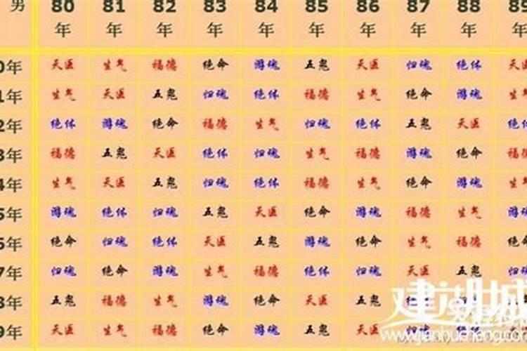 65年农历5月生人2023年运程