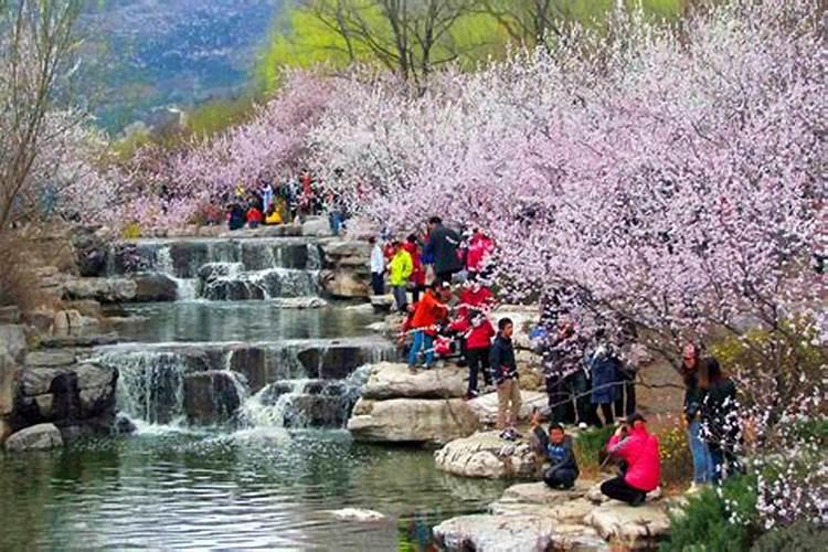 清明节去哪玩合适1天