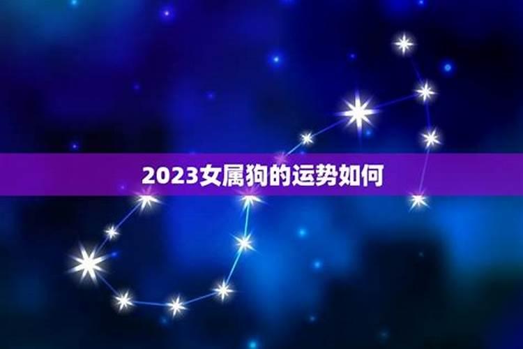 2023年属狗女性逐月运势如何