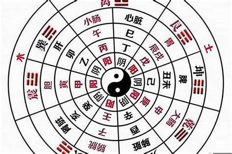 八字不合命里和什么意思