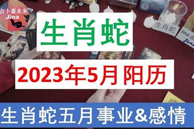 1962年属相是什么命