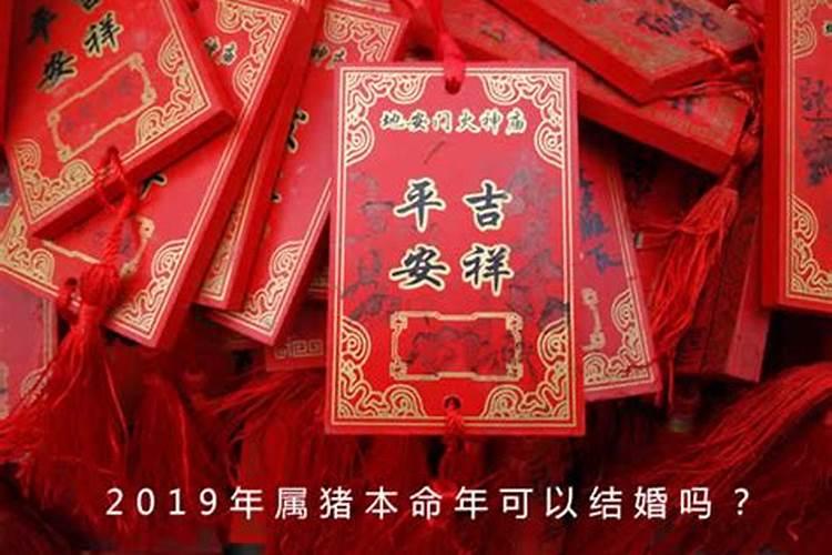 属牛的2024年的运势运程