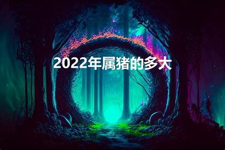 属猪2022年多大了