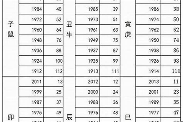 属猪多少岁2021年