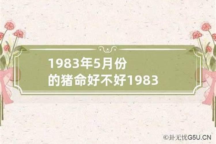 1983年5月属猪的是什么命人