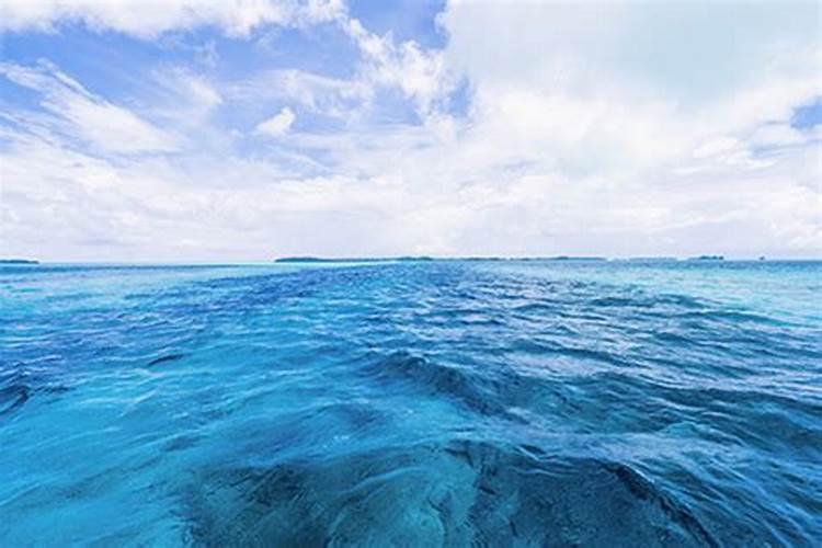 梦见大海涨大水海里有鸡大鹅