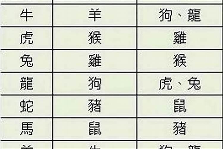 八字爷爷奶奶