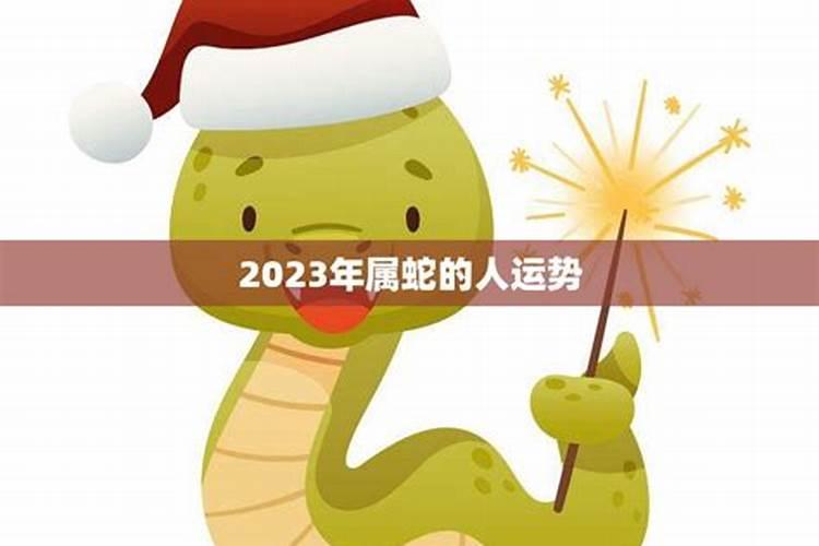 生肖蛇在2023年运势