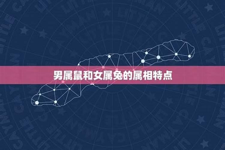 属兔运势2021年下半年运势如何看