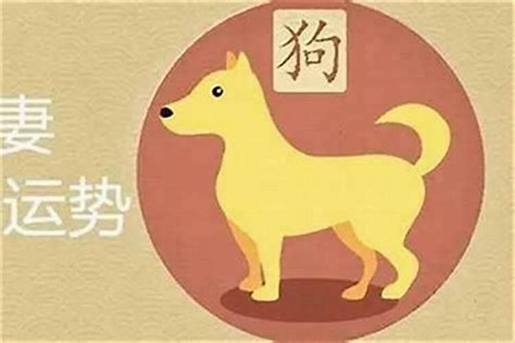 属狗和属牛的八字合不合