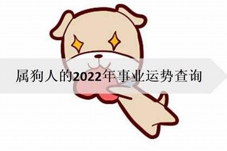 82年属狗女202年运势