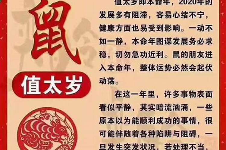 2023年属马人犯太岁吗兔年运势运程详解