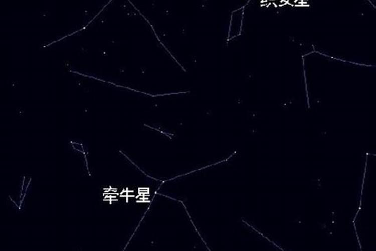 属于什么星座