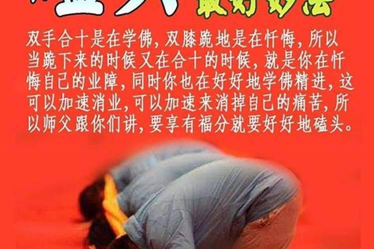 女猪男羊婚姻好不好