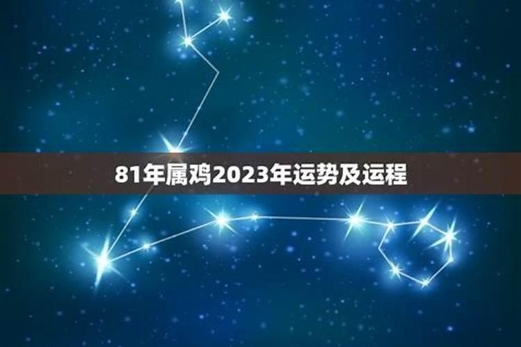 属鸡2023年的工作运势