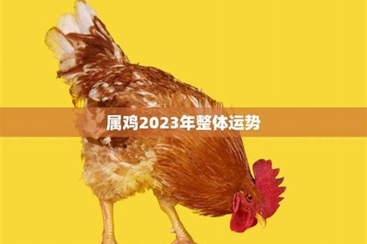 属鸡2023明天运势如何