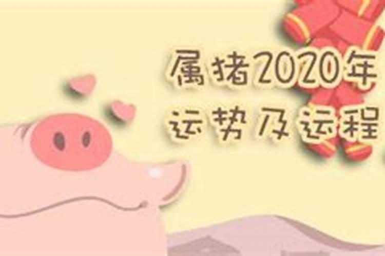 属猪72年2020年怎么样