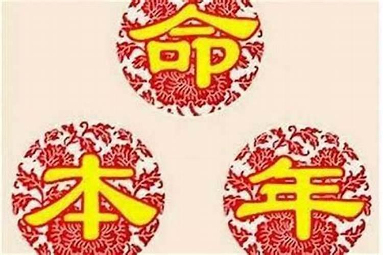 属兔和属狗的八字合不合适婚姻