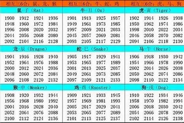 1991年和属什么的合适