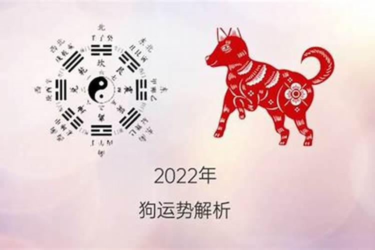 1983年狗2023年运势