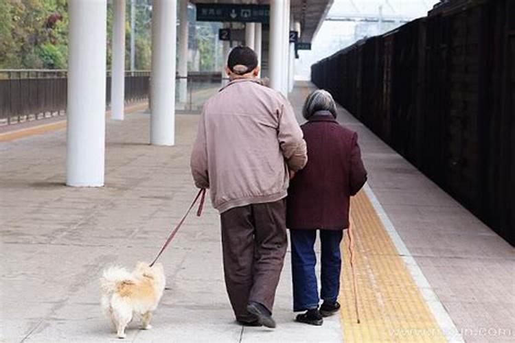 梦见死去的爷爷奶奶再次死去