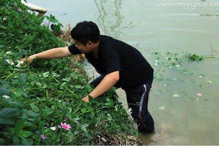 属虎的人牛年戴什么首饰