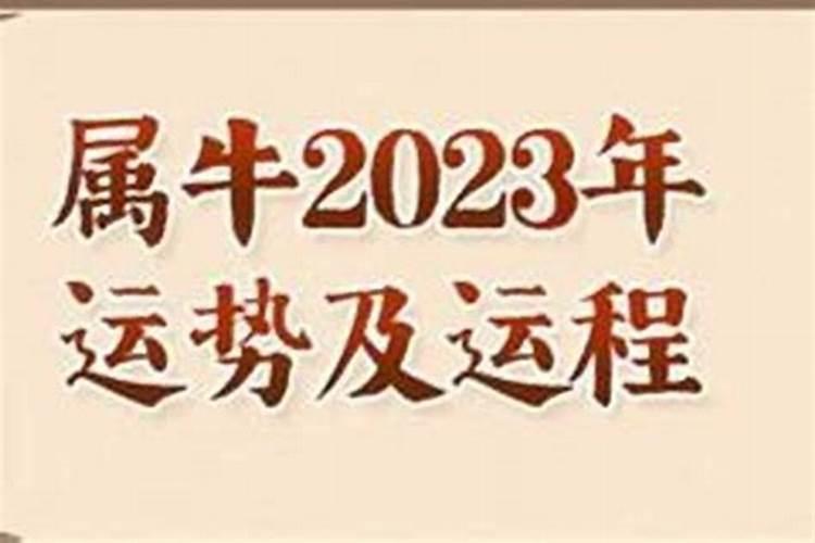 97属牛的2023年全年运势