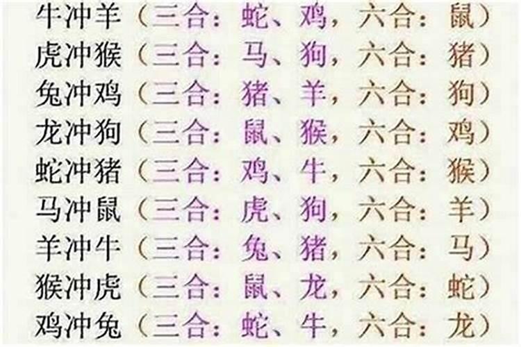 属鼠和属牛的八字合吗