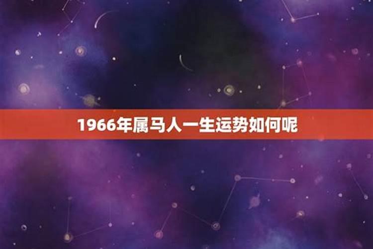 1966属马的男命运今年如何