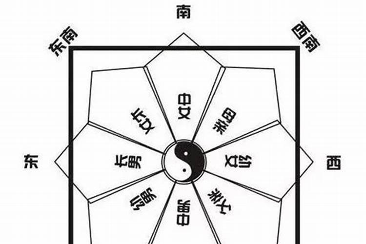 风水财运今日