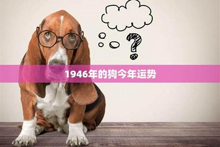 属狗的1946今年运势