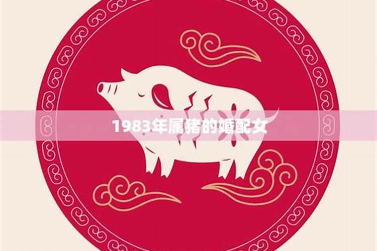 64年的龙今年运势如何