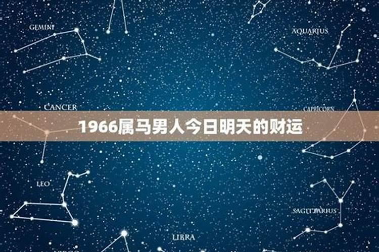 1966年属马的男人命运