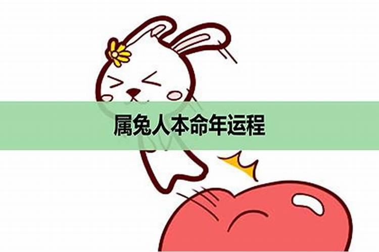 属兔的人本命年要注意什么