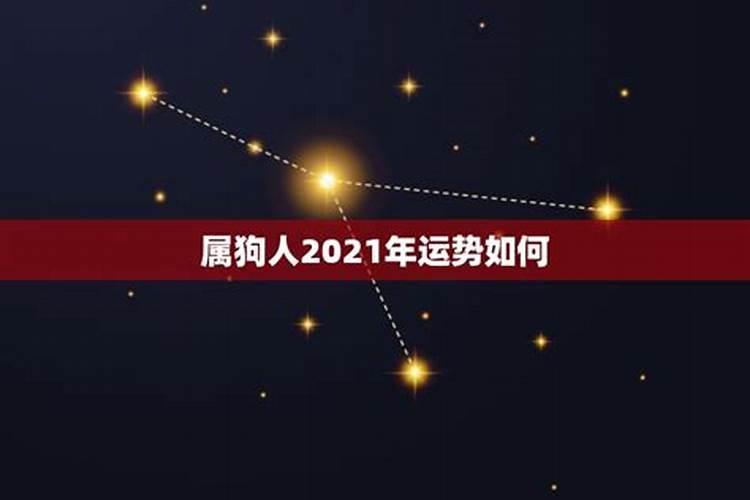 属狗男2021年运势及运程详解