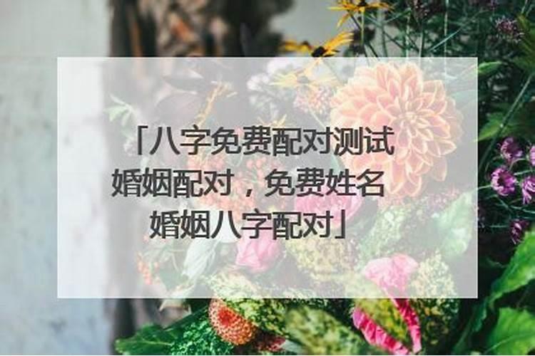 八字配对测试婚姻配对