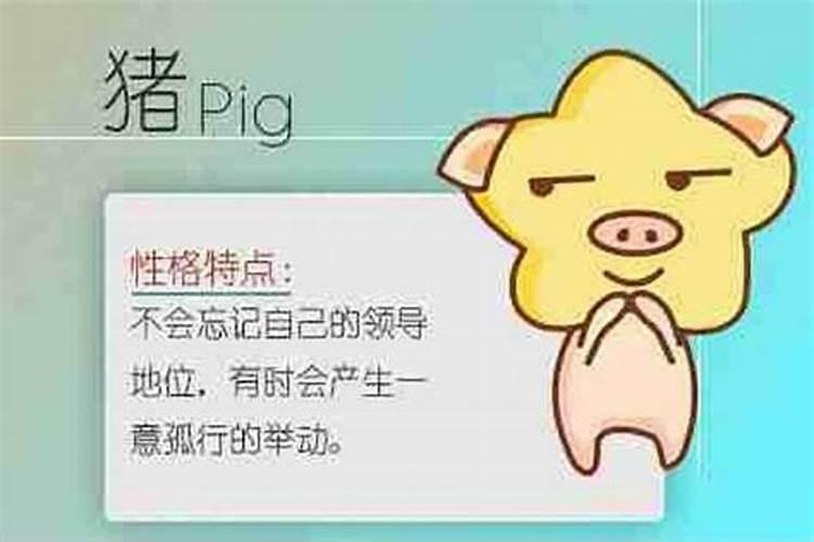 属兔的命运分析