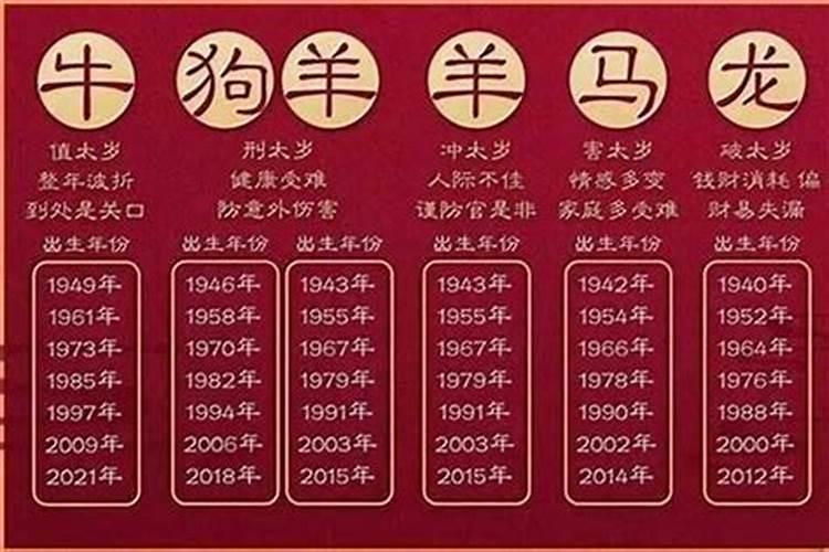 属马的为什么明年冲太岁