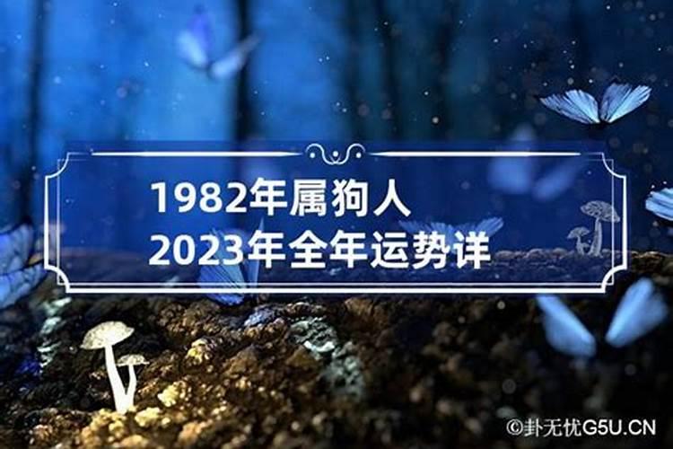 1982年狗在2023年运势