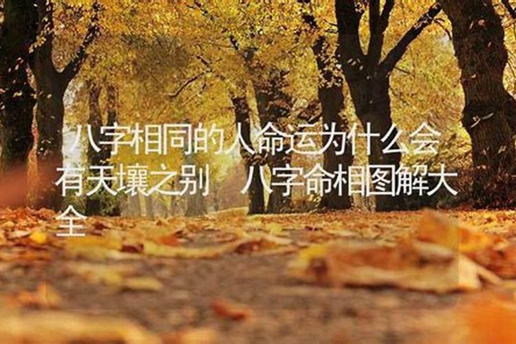 无性婚姻可以幸福吗