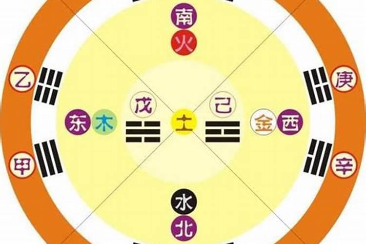 生字在五行属性是什么