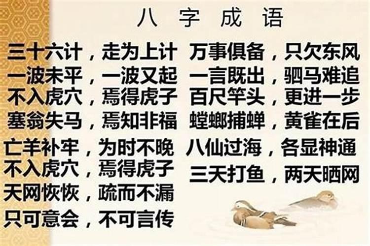 八字的派别及其特点