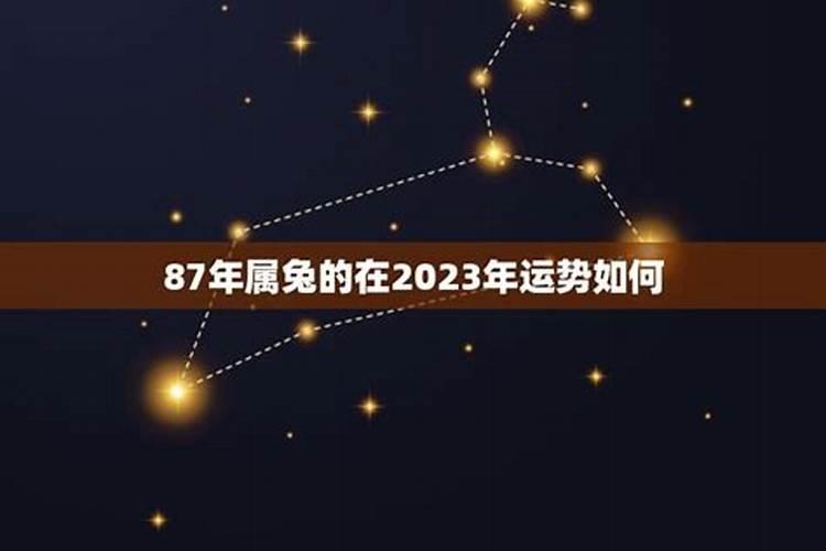 87属兔的2023年的运程