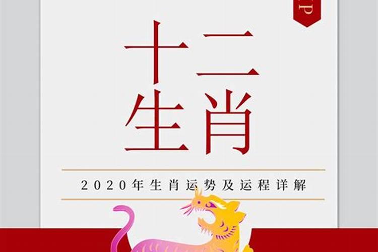 属虎的2020年运势如何女性