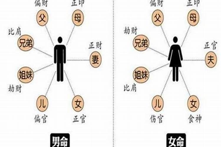 重阳节可以布置哪些作业