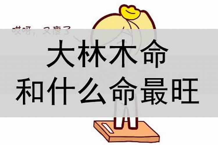 属蛇和属什么不合婚