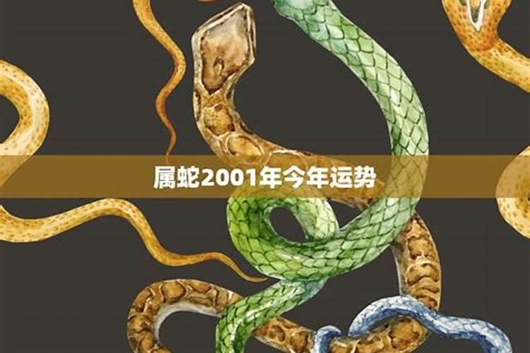 01年属蛇21年运势