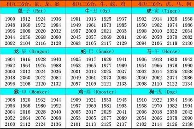 2019年出生的人属什么