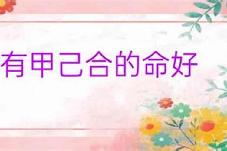 八字甲己合是什么意思