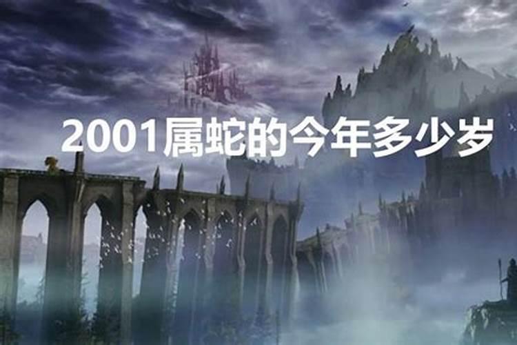 01年属蛇2023年多少岁